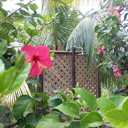 Zanboza Guesthouse 拉迪格岛 外观 照片