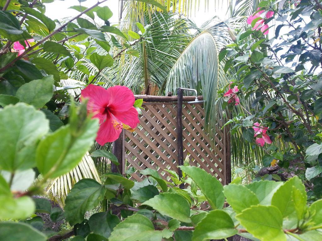 Zanboza Guesthouse 拉迪格岛 外观 照片